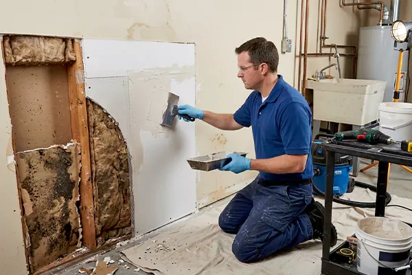 Mold and Drywall Repair Orem