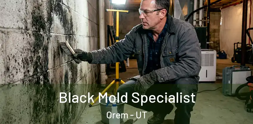  Black Mold Specialist Orem - UT