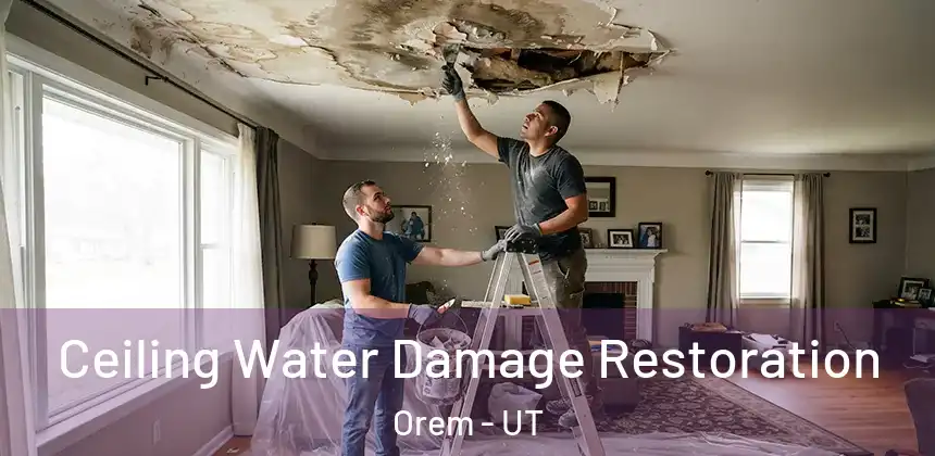  Ceiling Water Damage Restoration Orem - UT