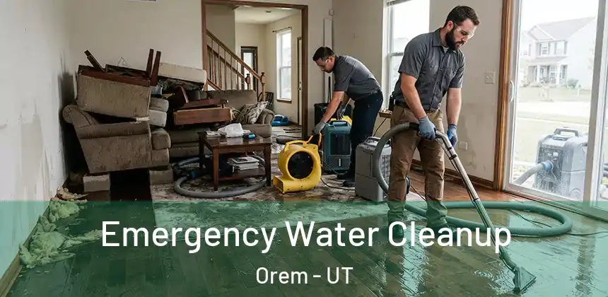  Emergency Water Cleanup Orem - UT
