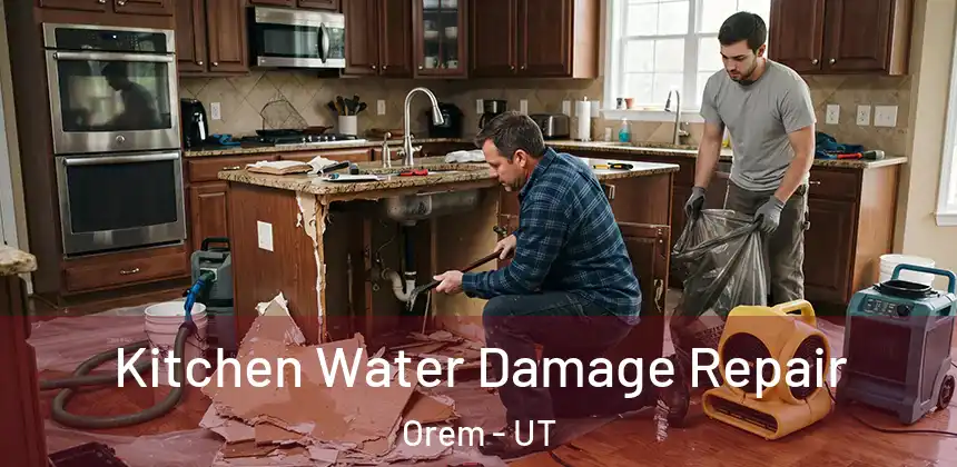 Kitchen Water Damage Repair Orem - UT