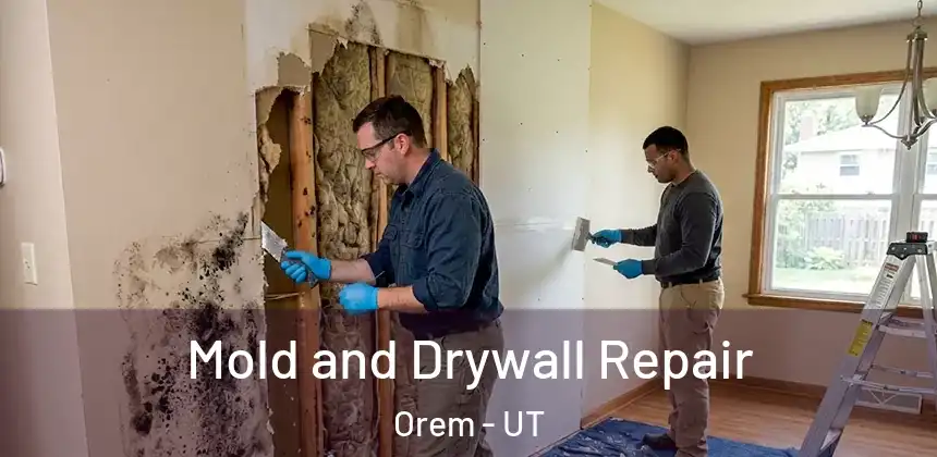  Mold and Drywall Repair Orem - UT