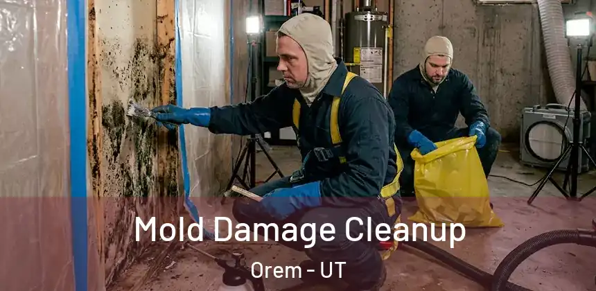 Mold Damage Cleanup Orem - UT