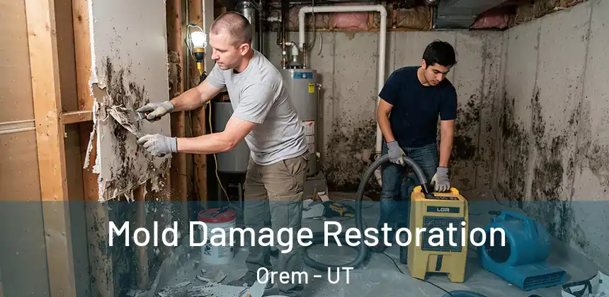  Mold Damage Restoration Orem - UT