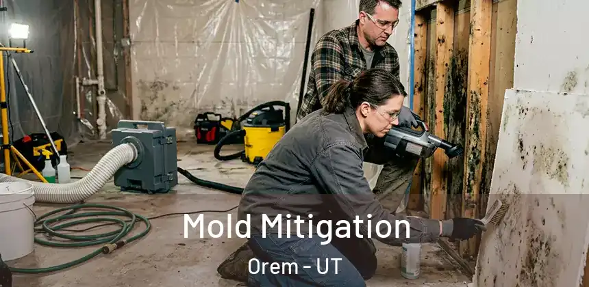  Mold Mitigation Orem - UT