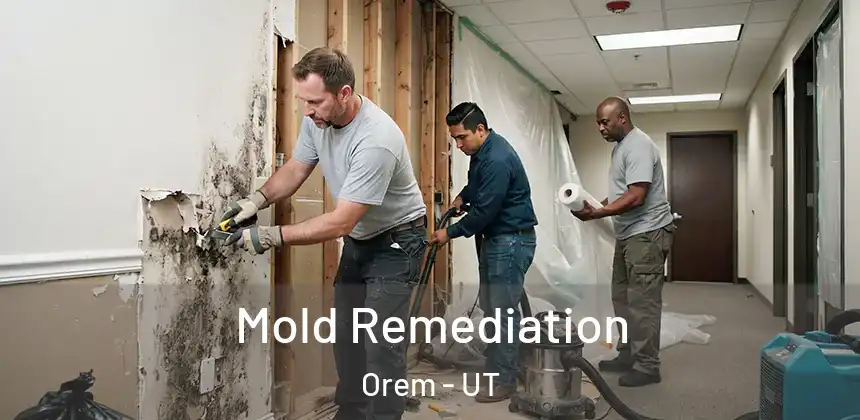  Mold Remediation Orem - UT