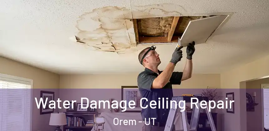  Water Damage Ceiling Repair Orem - UT