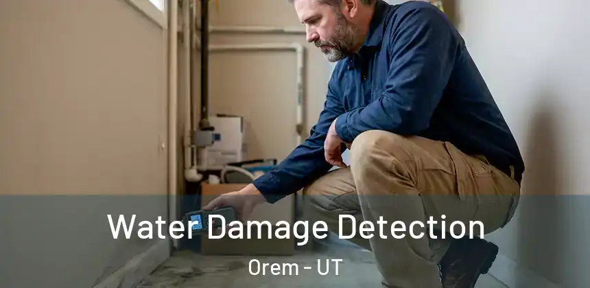 Water Damage Detection Orem - UT