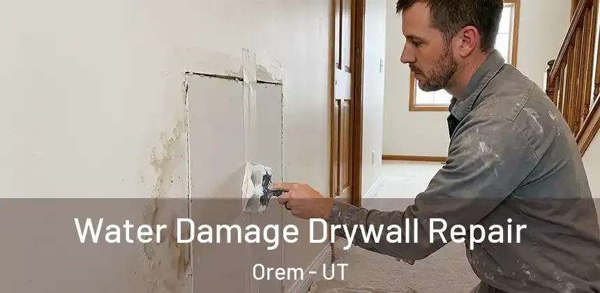  Water Damage Drywall Repair Orem - UT
