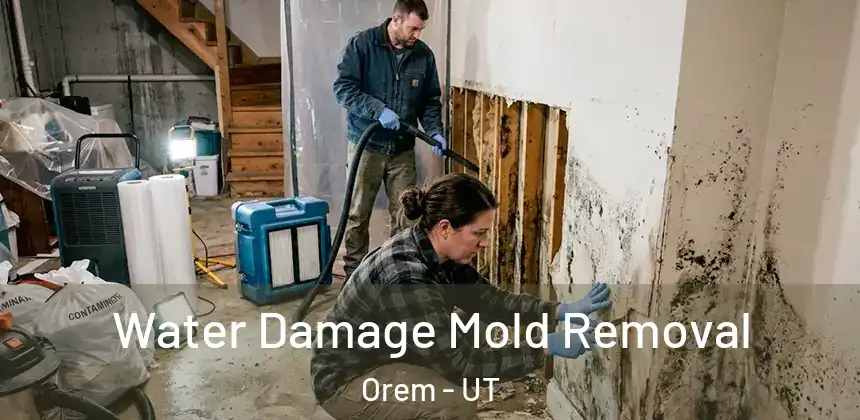  Water Damage Mold Removal Orem - UT