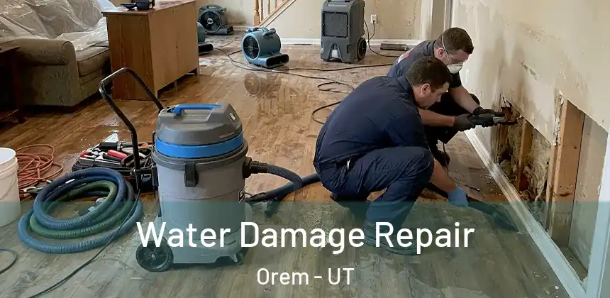  Water Damage Repair Orem - UT