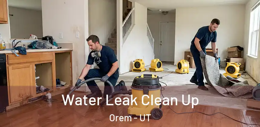 Water Leak Clean Up Orem - UT