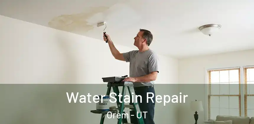 Water Stain Repair Orem - UT